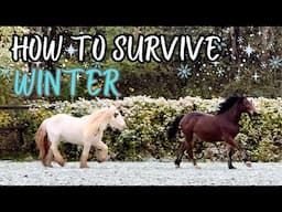 TIPS TRICKS AND HACKS TO SURVIVE WINTER AS AN EQUESTRIAN