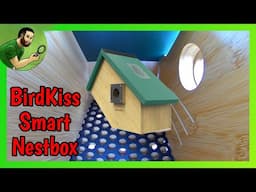 The Birdkiss Smart Bird Nest Box - Unboxing and Testing