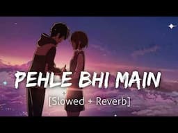 Pehle bhi main (Slowed+Reverb) Vishal Mishra | Animal | musichub2.0 ❤😍🤍