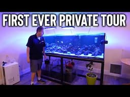 I toured my aquarium store owners private fish tank  - the king of DIY