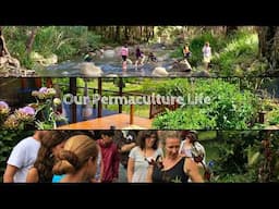 International Permaculture Festival of Ideas Live Stream