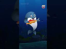 Blue Whale Song - #Shorts #ChuChuTV #NurseryRhymes #KidsSongs #AnimalSongs