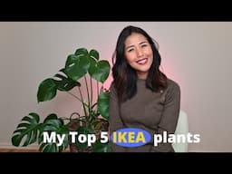 My top 5 IKEA plant  | Cheap plants you should buy from IKEA