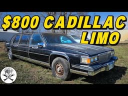 Will an Abandoned Cadillac Limo RUN & DRIVE for DIRT CHEAP?