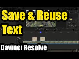 How to save and reuse Text/Title (Davinci Resolve, Power Bin)