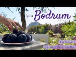 Daily Life in Bodrum, Turkey | + Grocery Store Haul (with prices!) & Fresh Figs | Turkish Village