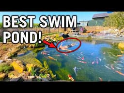 FAVORITE 100,000 Liter Swim Pond