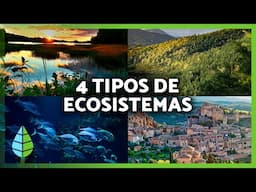 TIPOS de ECOSISTEMAS y sus CARACTERÍSTICAS 🏔️🏝️ (Terrestres, Acuáticos, Mixtos y Artificiales)