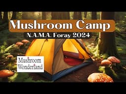 Mushroom Camp! N.A.M.A. Foray 2024 in Randle Washington