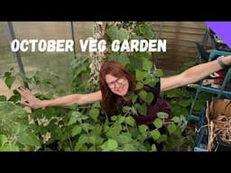 Ultimate Guide To Backyard Gardening In The UK: October Allotment Tour For Newbies!