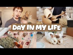 VLOG | my foster rabbit, packing orders, & cage cleaning | DAY IN MY LIFE