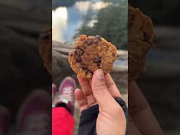 Vegan gluten Free cookies