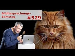 Bildbesprechung 529