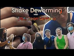 Snake Deworming before breeding Season! with Doc. Sean