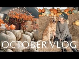 OCTOBER VLOG 🎃 Pumpkin patch, The Hollies farm shop & woodland walks