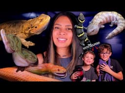 Reptile Room Tour 2024!!!! (With a Couple of Helpers)