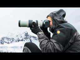 Wildlife Photography in the ARCTIC CIRCLE