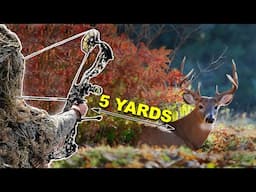 5 yards from a GIANT Mountain Buck! - Spot and Stalk in Socks