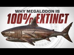 Why Megalodon is 100% EXTINCT