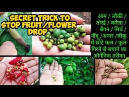 Sabzi Ke Plants Me Chote Fal Girna Rokne Ka Sabse Asardar Desi Tarika | How To Stop Fruit Drop