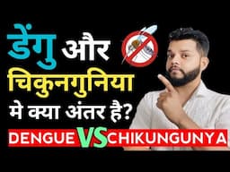 डेंगू और चिकुनगुनिया मे क्या अंतर है | Difference Between Dengue And Chikungunya | Symptoms