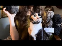 My cat chaotically takes over my knitting channel & TEN FAVORITE things to buy on sale at Ulta ✨