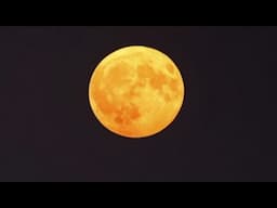 LIVE: Supermoon Seen Over Santiago