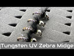 Tie the Tungsten UV Zebra Midge and Outfish Your Friends!