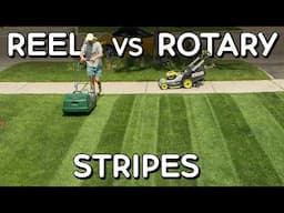 BEST LAWN STRIPES! Rotary vs Reel Mowing Real World Test