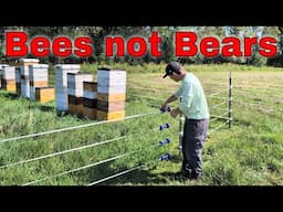 Bear Fence for Bees