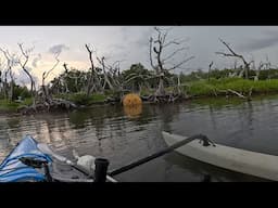 Scary Stuff In The Florida Keys Backcountry.  Fish at your own risk.