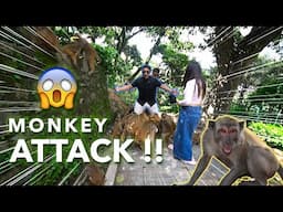 Feeding Monkeys | Aisha’s Last Day In Nepal | Sega Gurung