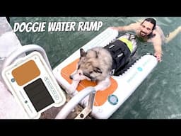 Dog water Ramp | Malamute test Further Customs Pup Avalon Pup up Dock Ramp