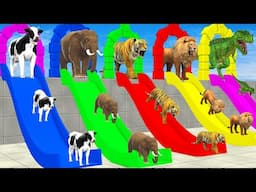 Cow Elephant Tiger Gorilla Hippo 3d Animal Long Slide Game Funny 3d Paint Animals Cage Game