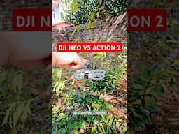 DJI NEO VS ACTION 2 #djineo #action2 #osmoaction