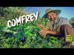 WHY COMFREY IS A MIRACLE PLANT