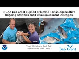 NOAA Sea Grant Support of Marine Finfish Aquaculture