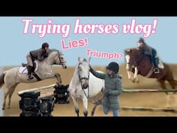 Trying Horses Vlog!! Stallions, Ponies, GALORE!