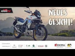 Baby Africa Twin? Neue Honda Transalp 750 auf der EICMA 2024