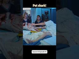 pet shark #animals #pets