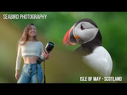 Seabird Photography Scotland  | Isle of May |  Fujifilm 150-600mm |