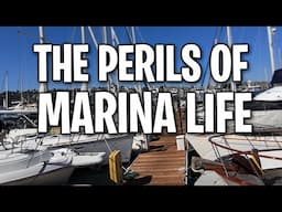 The DANGERS of MARINA LIFE!