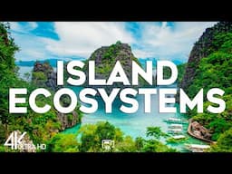 Top 10 Unique Island Ecosystems of the World - Travel Guide 2024