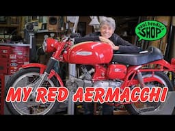 My Red AERMACCHI // paul brodie's shop