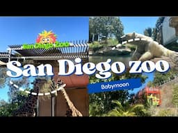 Things to see and do at San Diego Zoo | Lunch at Hua Mei Cafe | Saving money on drinks