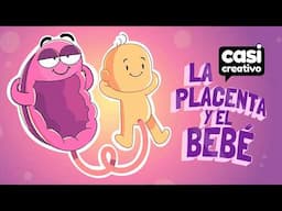 La Placenta y el Bebé | Casi Creativo