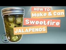 How to make Homemade Pickled Jalapenos - Sweet Fire | Useful Knowledge