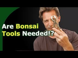 Which Bonsai Tools Should You Have?