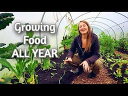 Polyculture Polytunnel PACKED With Food - Winter Self-Sufficiency