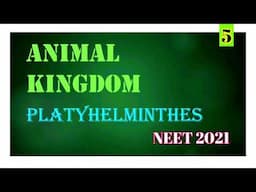 Platyhelminthes | Animal Kingdom | Biology  Blog | Neet Zoology